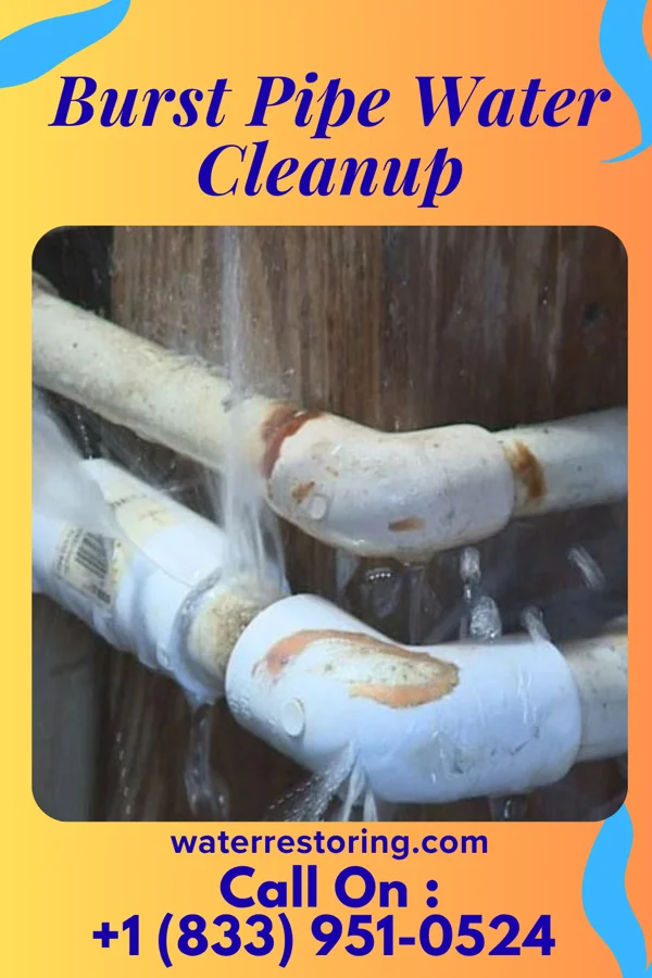 Burst Pipe Water Cleanup in Duquesne, PA