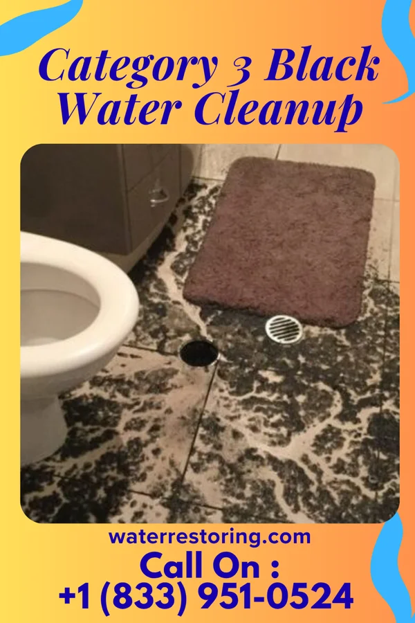 Category 3 Black Water Cleanup in Duquesne, PA