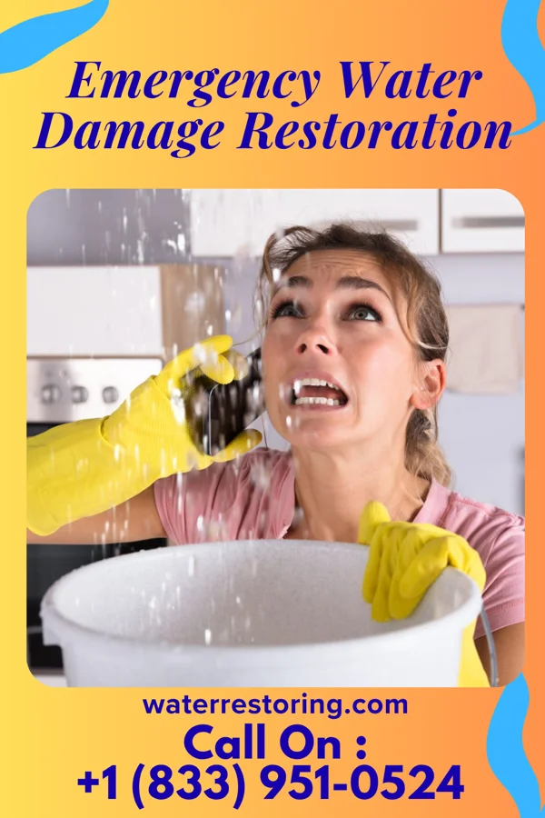 Emergency Water Damage Restoration in Duquesne, PA