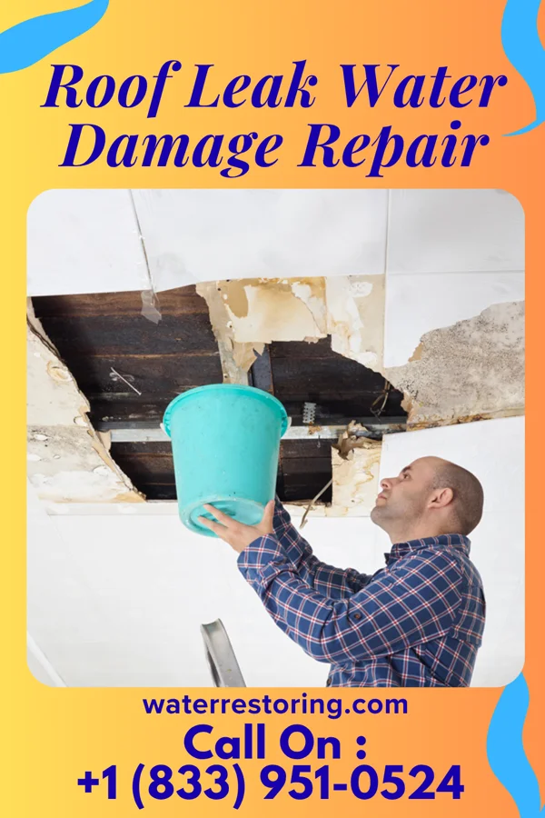 Roof Leak Water Damage Repair in Duquesne, PA